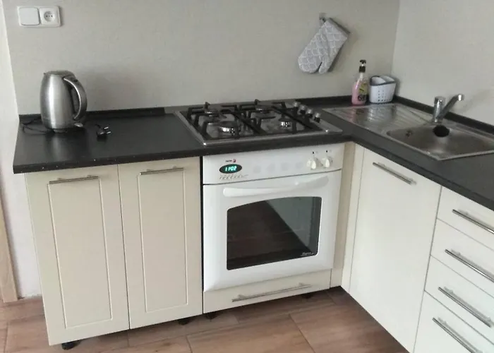 Novodvorsky Apartman Sara