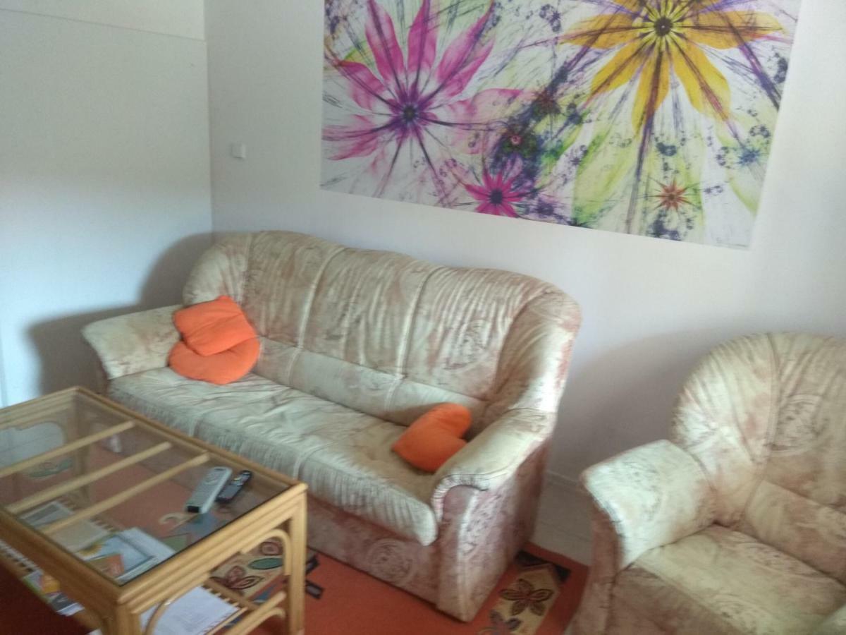 Apartament Novodvorsky Sara *